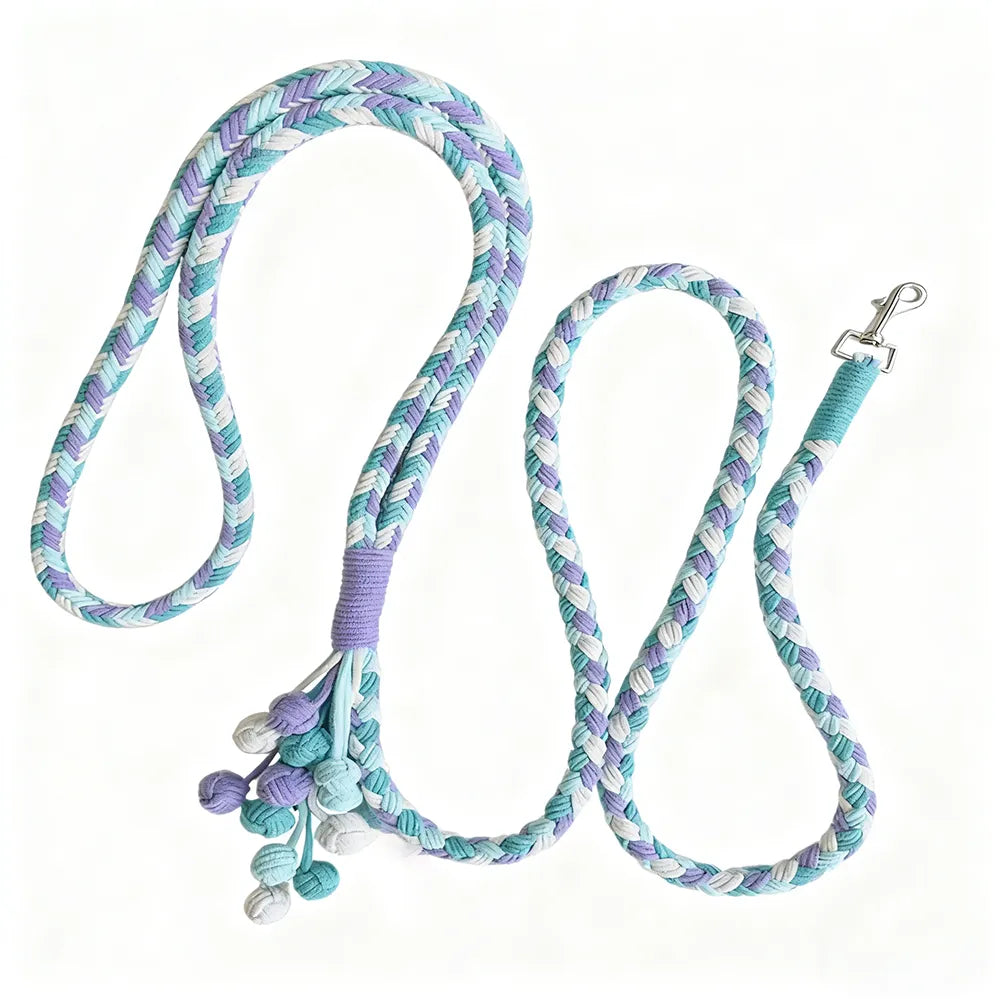 Four-Strand Braided Dopamine Dog Leash