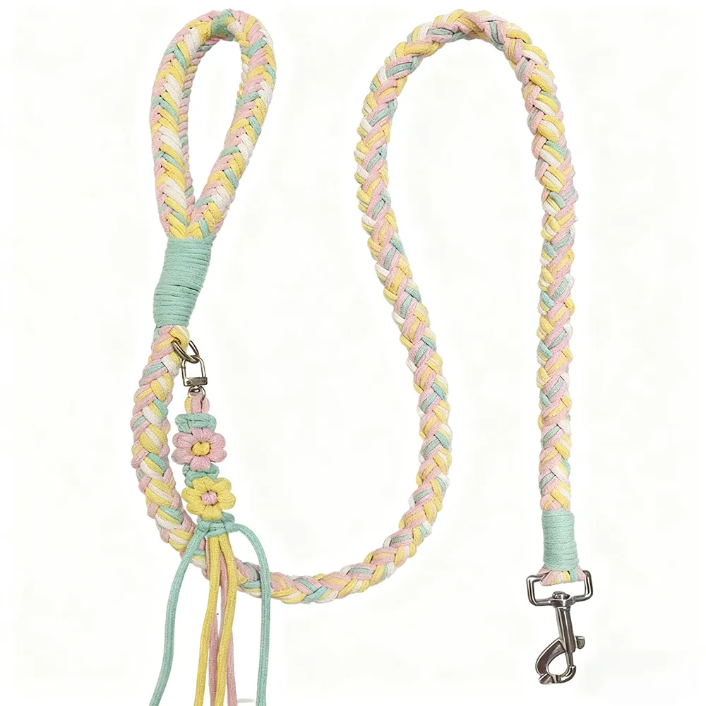 Four-Strand Braided Dopamine Dog Leash
