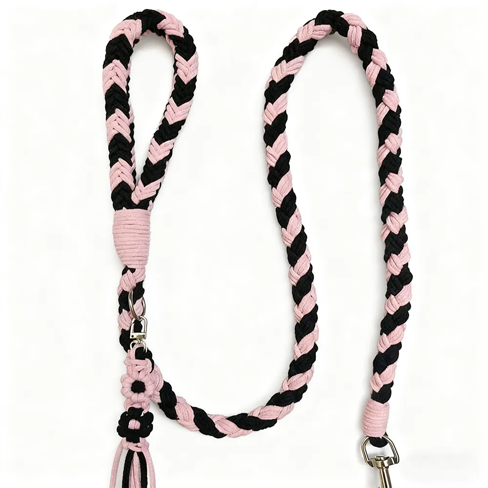 Four-Strand Braided Dopamine Dog Leash