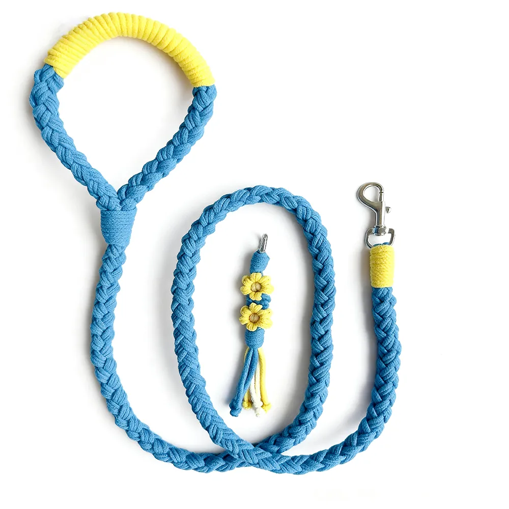 Four-Strand Braided Dopamine Dog Leash