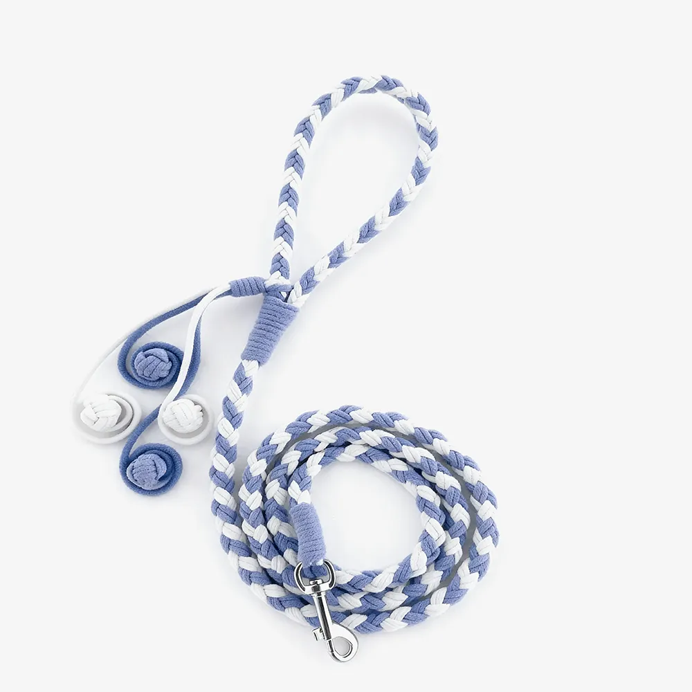 Four-Strand Braided Dopamine Dog Leash