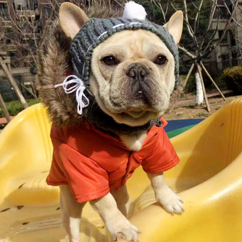 Cozy Winter Hat for French Bulldogs