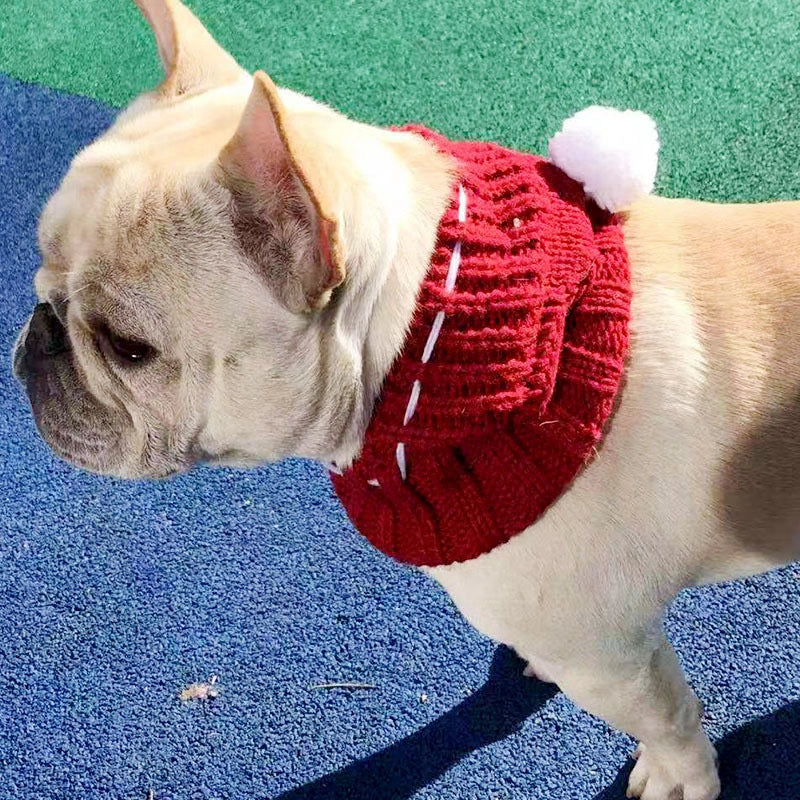 Cozy Winter Hat for French Bulldogs