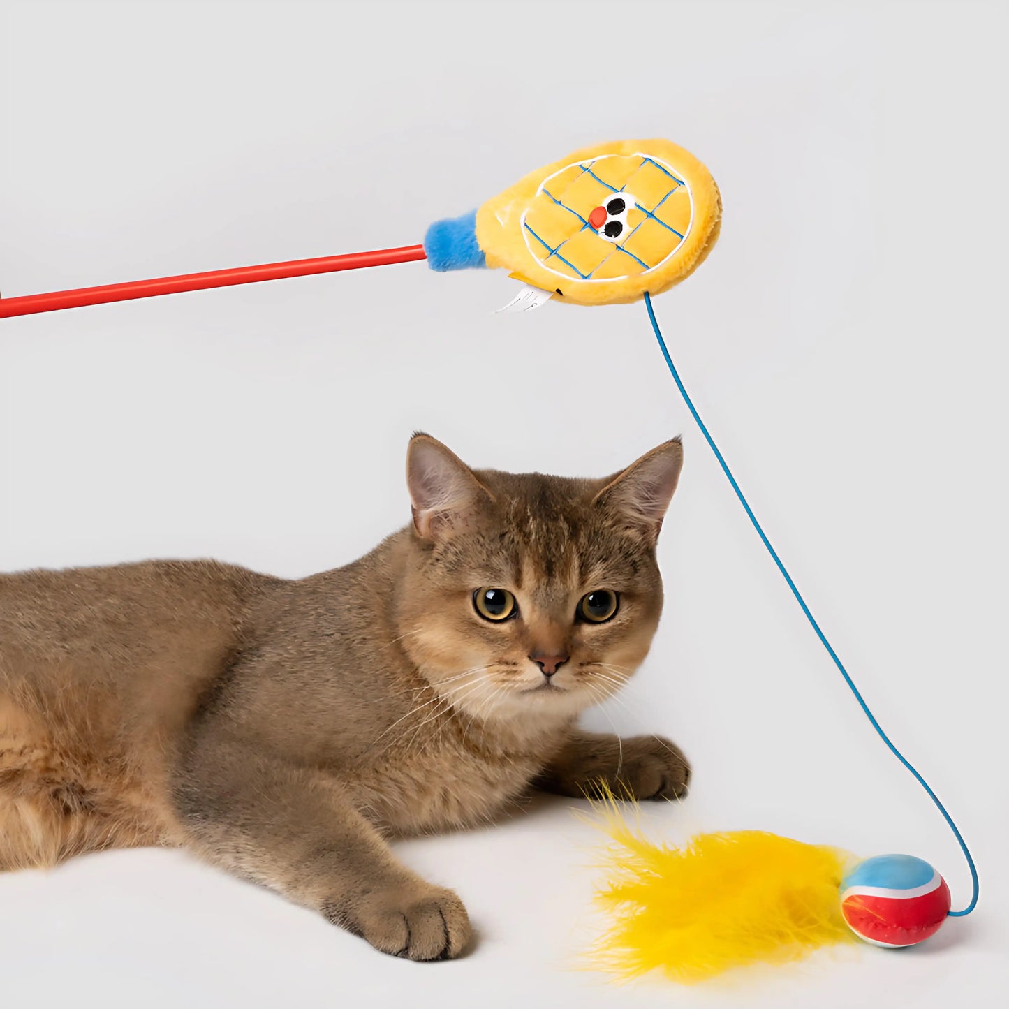 Fun Interactive Cat Stick Toy