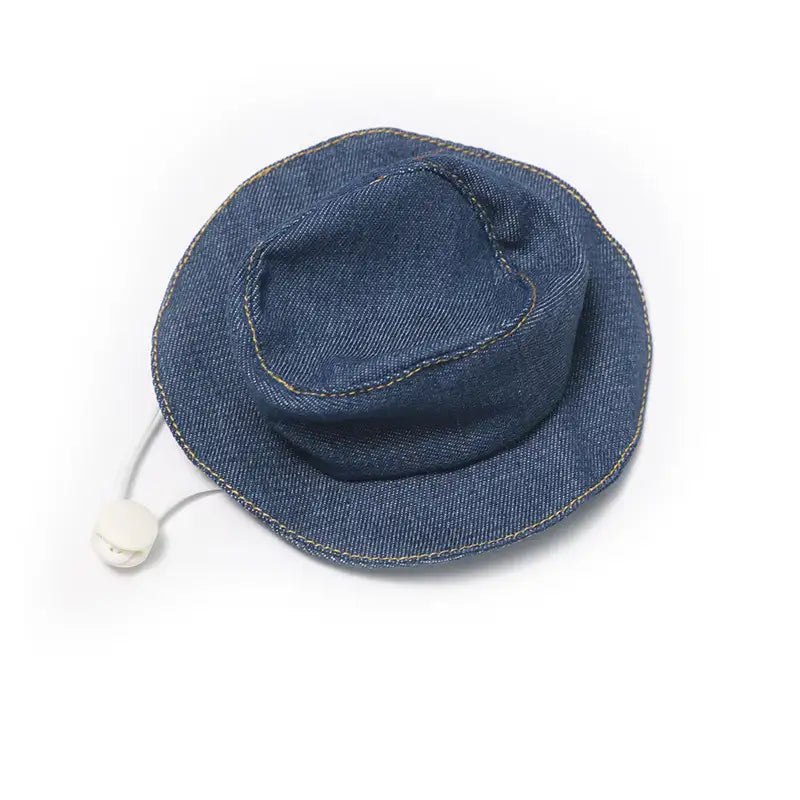 Funny Pet Hat – Cosplay Costume Accessory