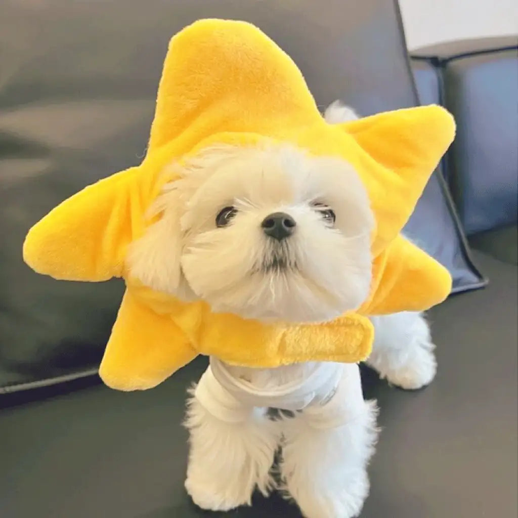 Playful Pet Hat – Hilarious Cosplay Accessory