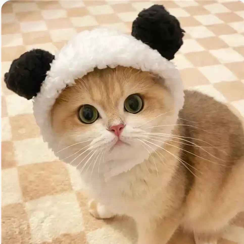 Playful Pet Hat – Hilarious Cosplay Accessory