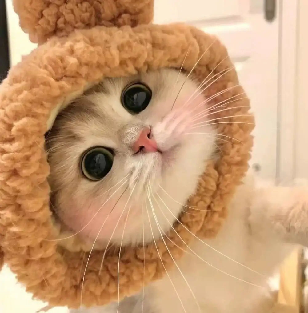 Playful Pet Hat – Hilarious Cosplay Accessory