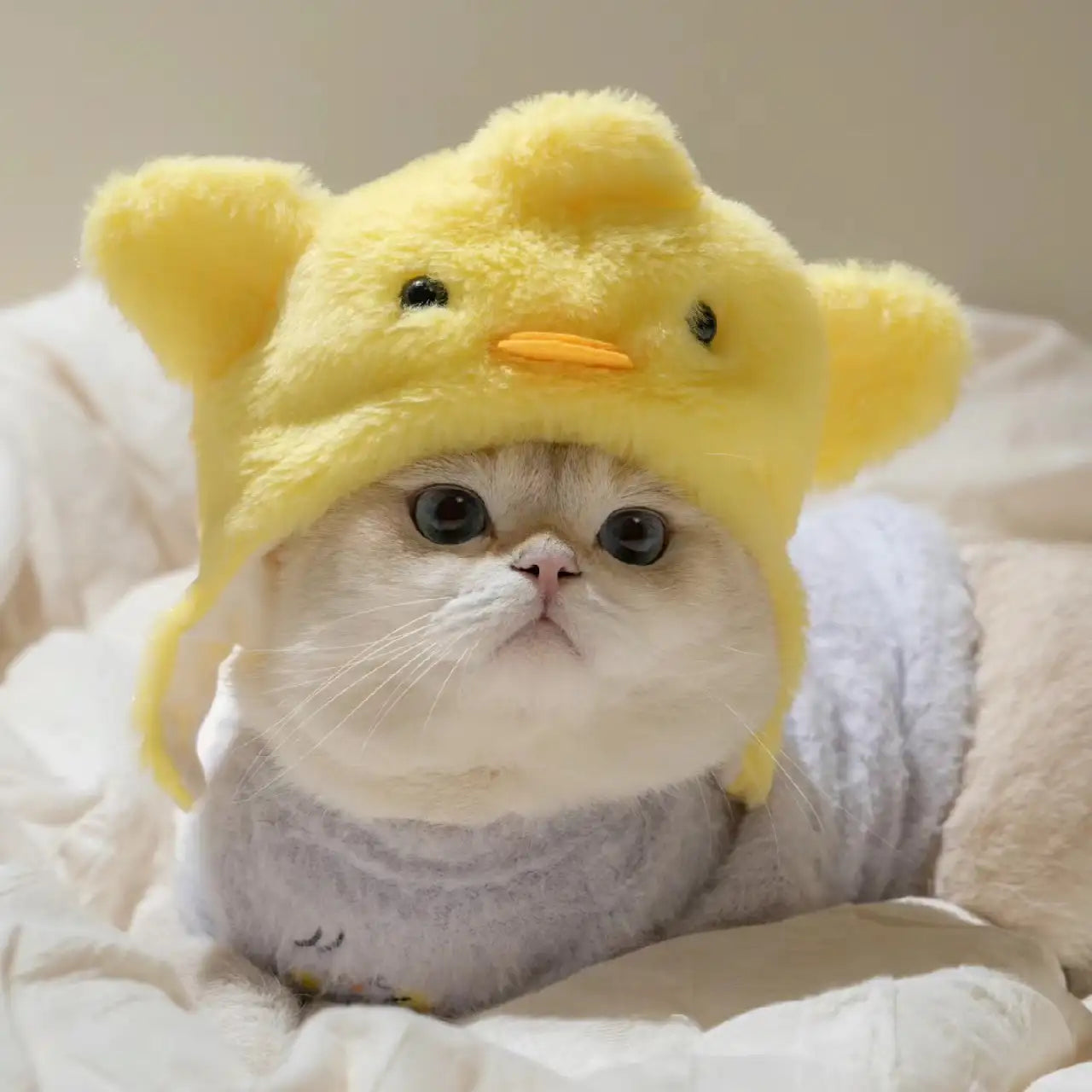 Playful Pet Hat – Hilarious Cosplay Accessory