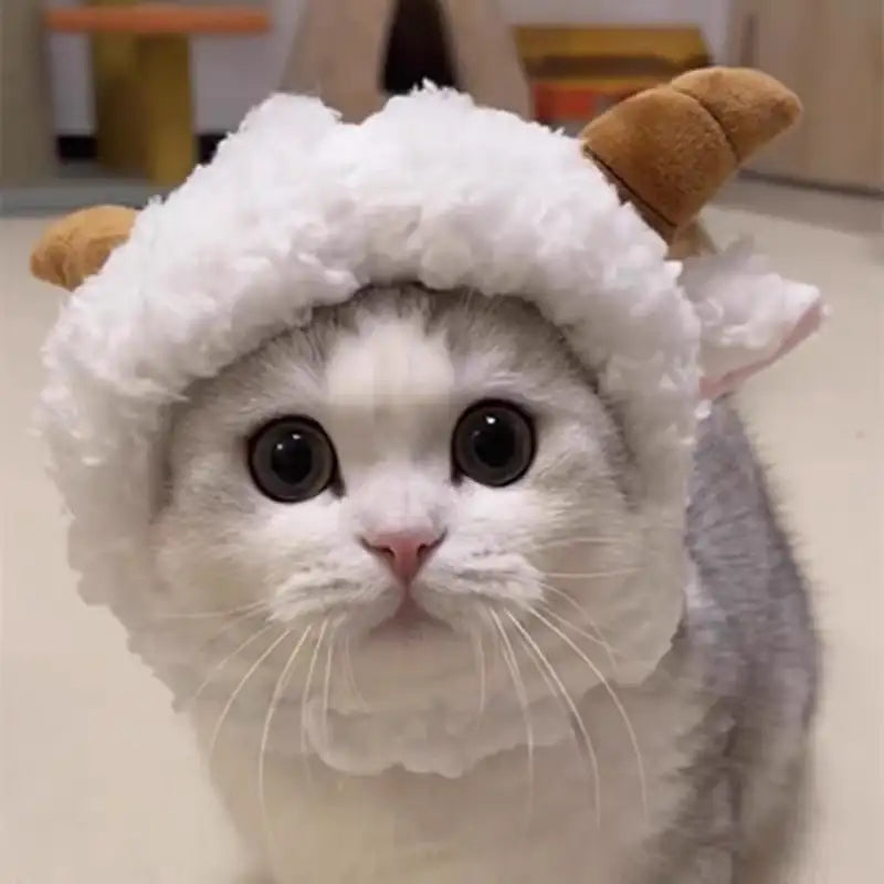 Playful Pet Hat – Hilarious Cosplay Accessory