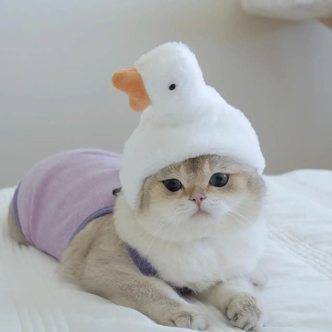 Playful Pet Hat – Hilarious Cosplay Accessory