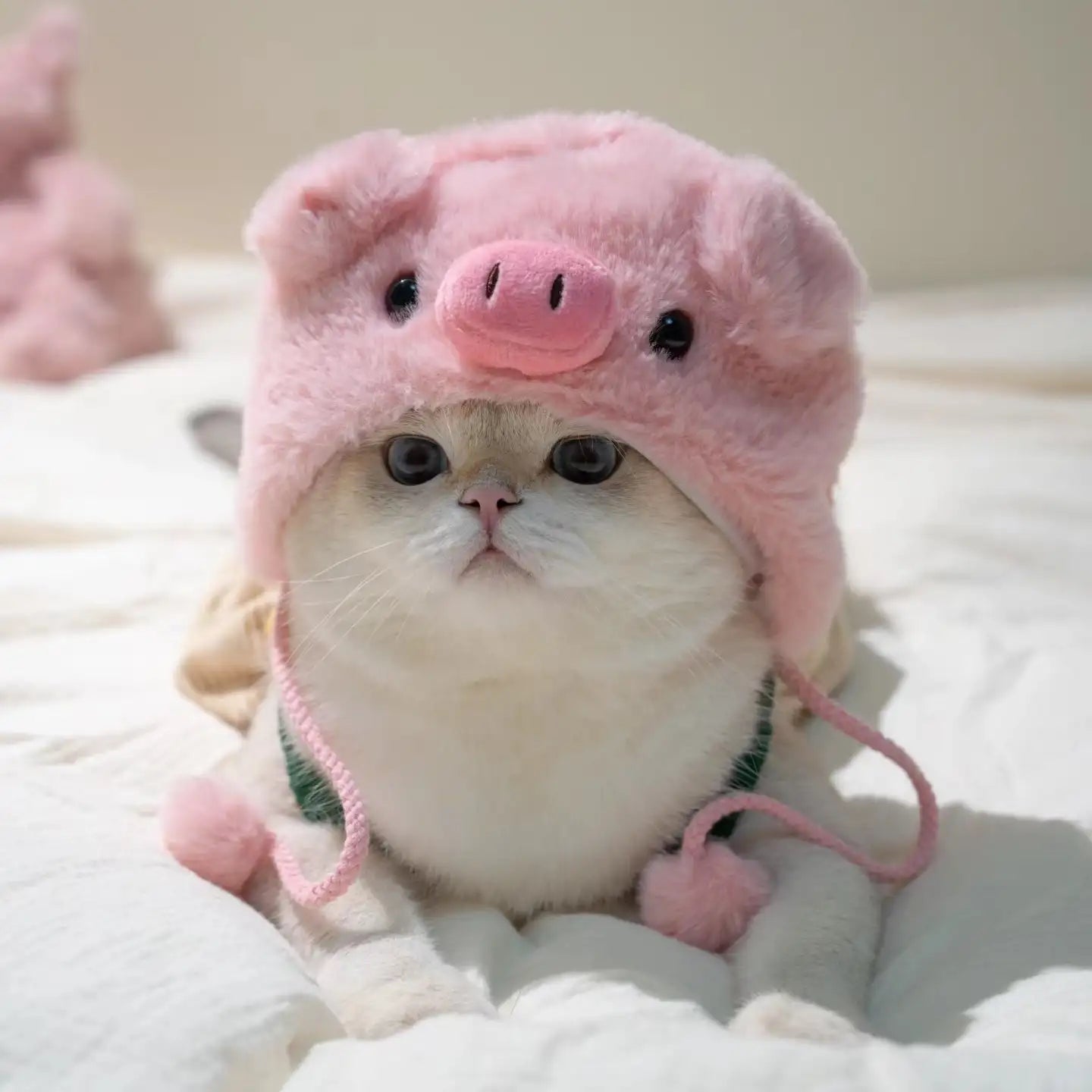Playful Pet Hat – Hilarious Cosplay Accessory