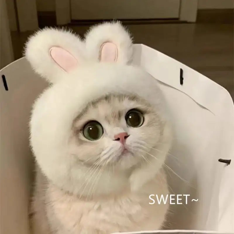 Playful Pet Hat – Hilarious Cosplay Accessory
