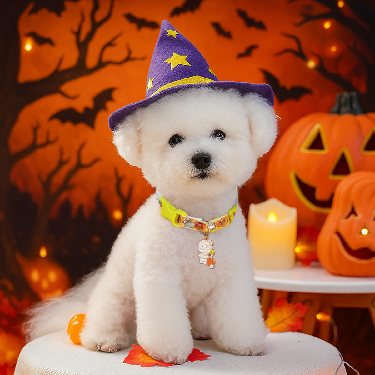 Halloween Bell Travel Dog Collar
