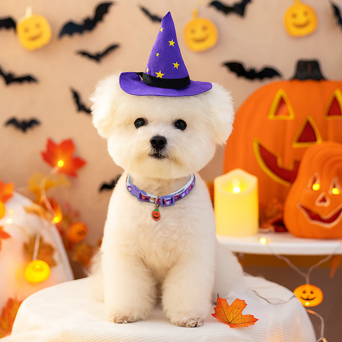 Halloween Bell Travel Dog Collar