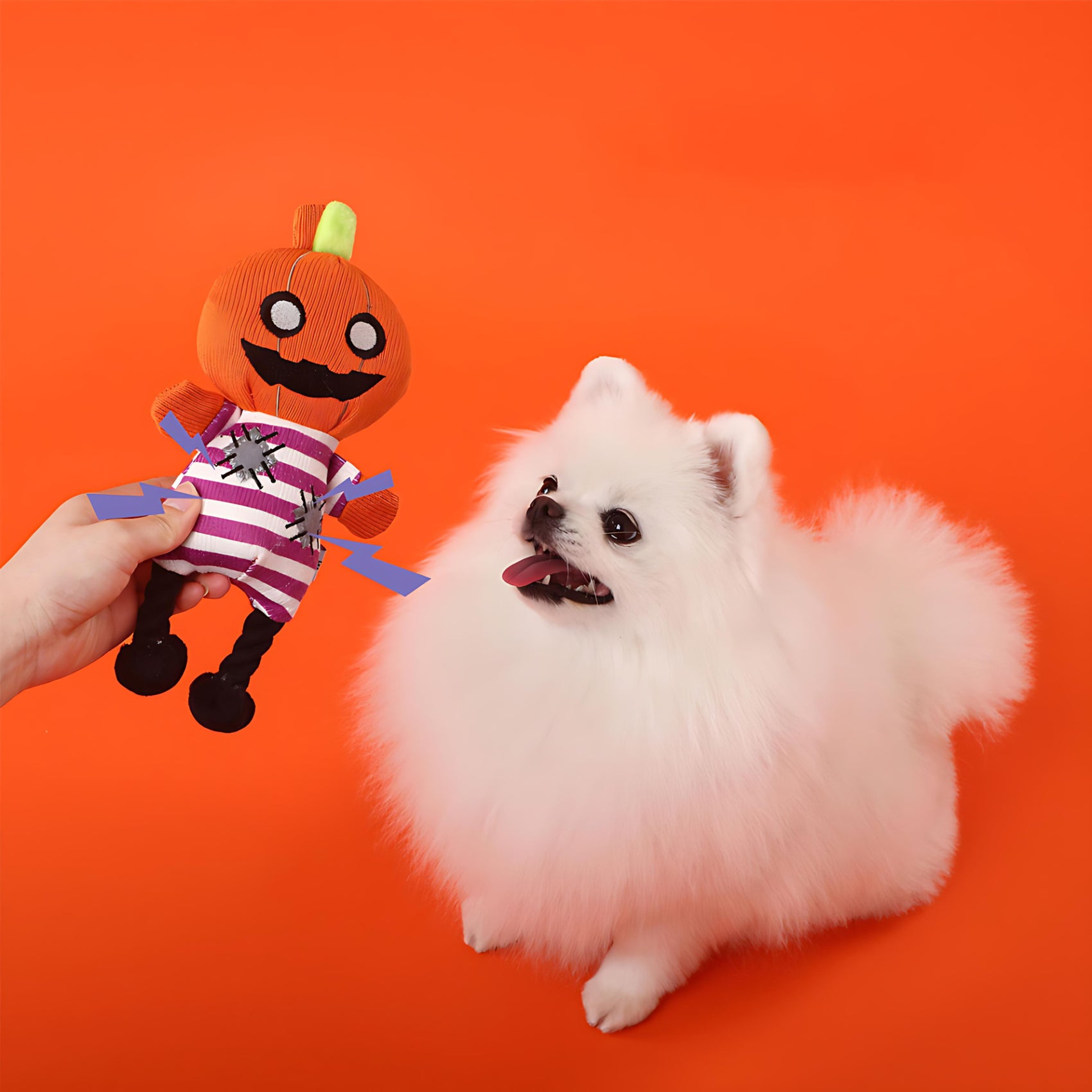 Halloween Funny Squeaky Dog Toy