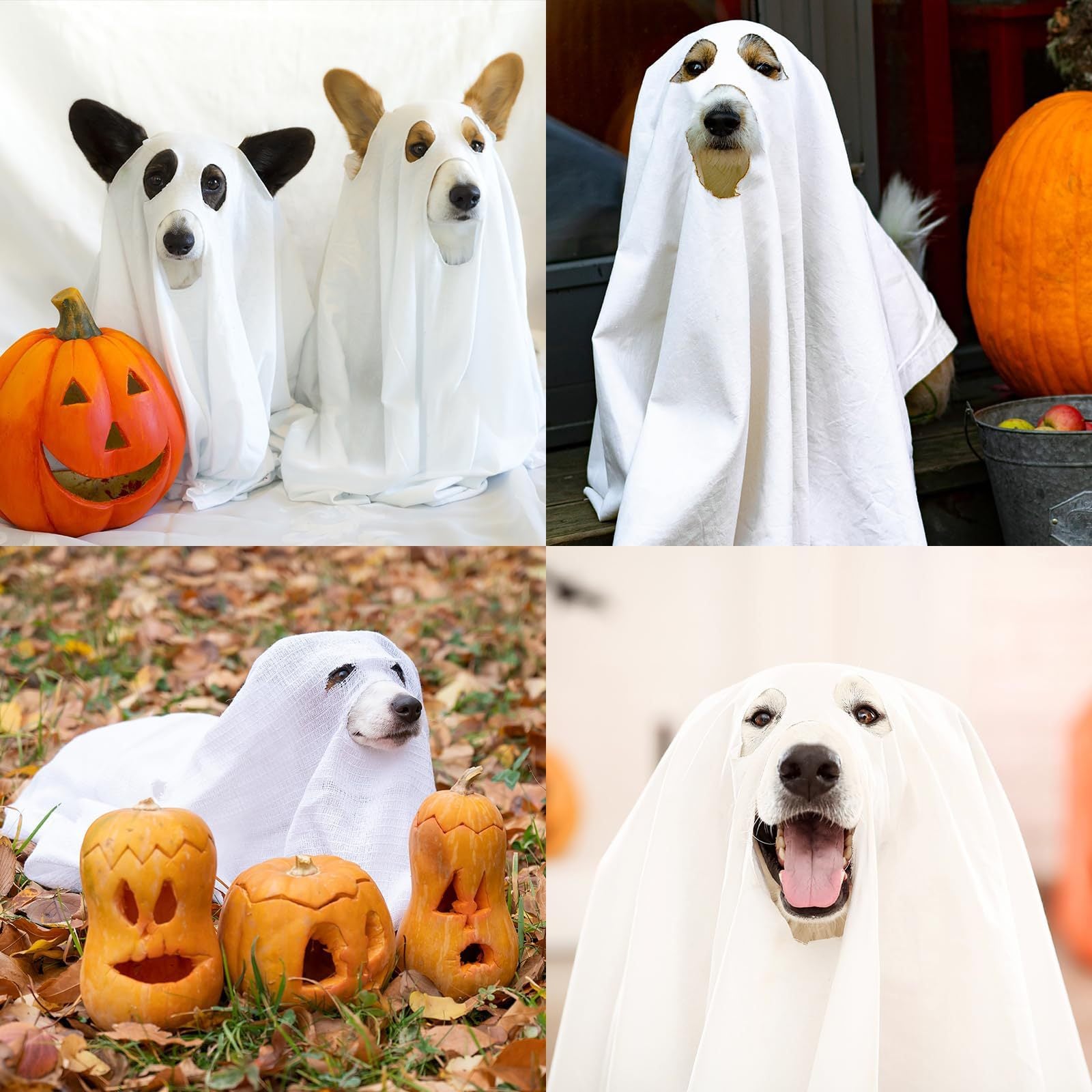 Halloween Ghost Cloak for Pets