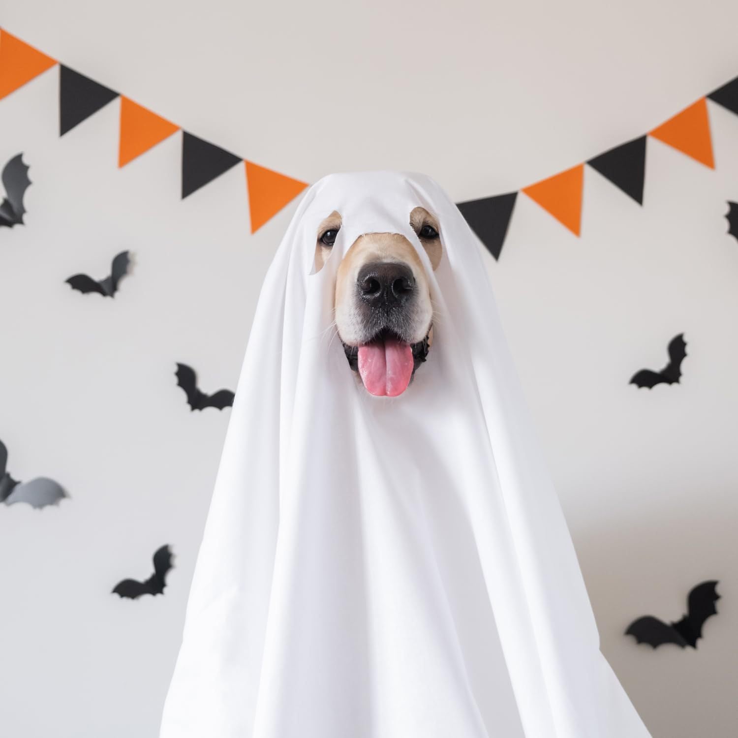 Halloween Ghost Cloak for Pets