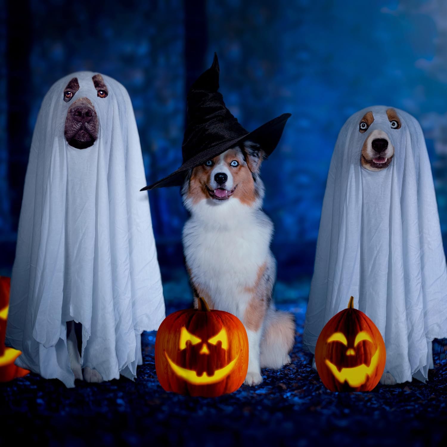 Halloween Ghost Cloak for Pets