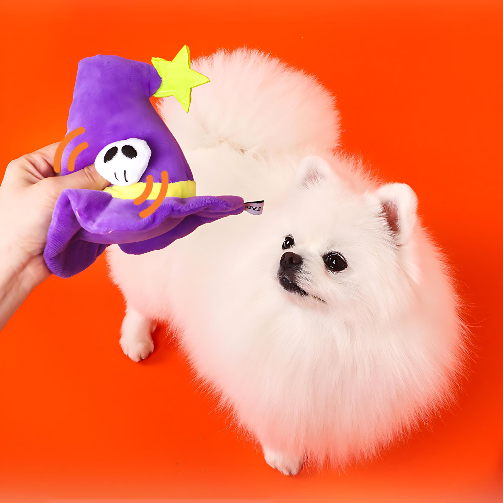 Halloween Hat Squeaky Toy