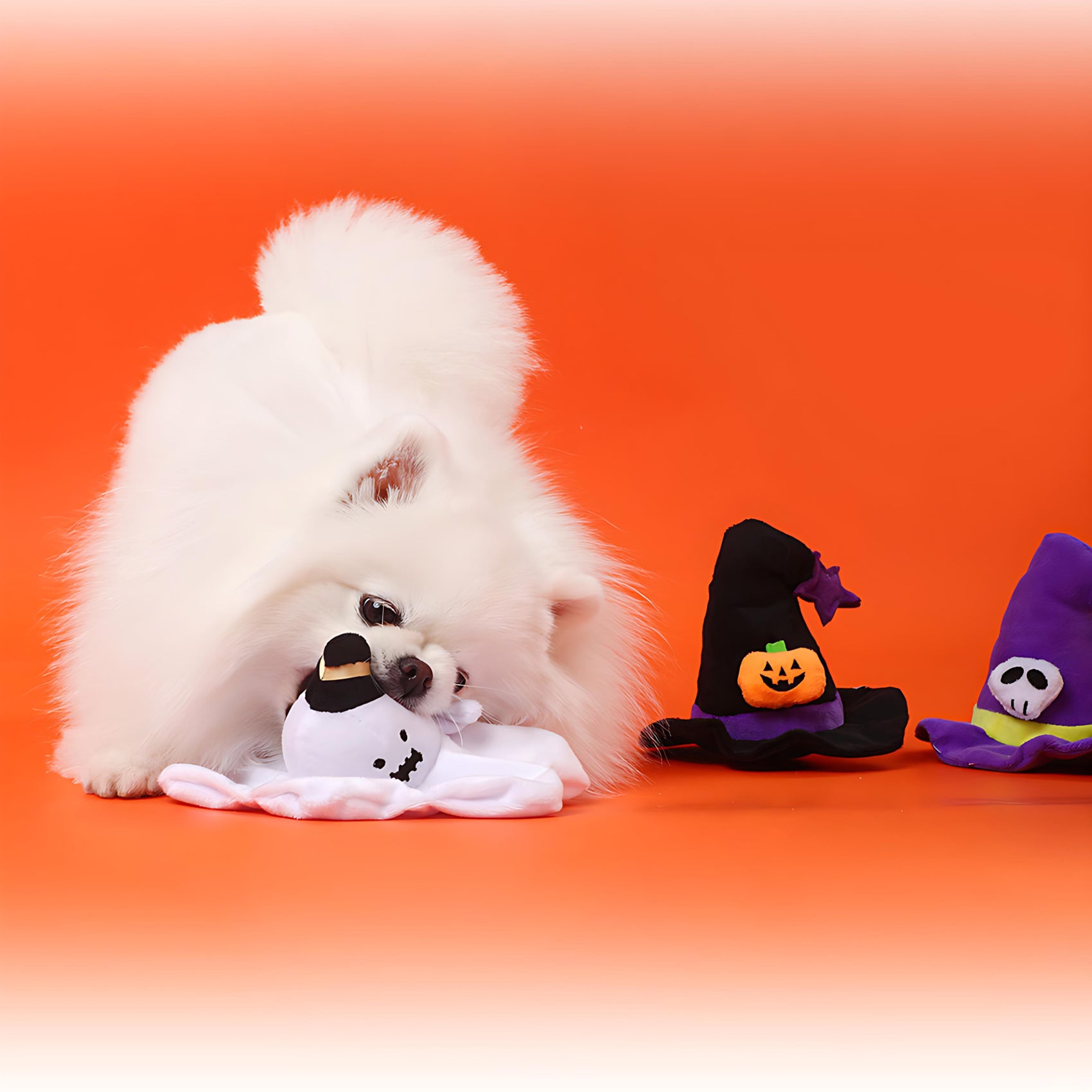 Halloween Hat Squeaky Toy