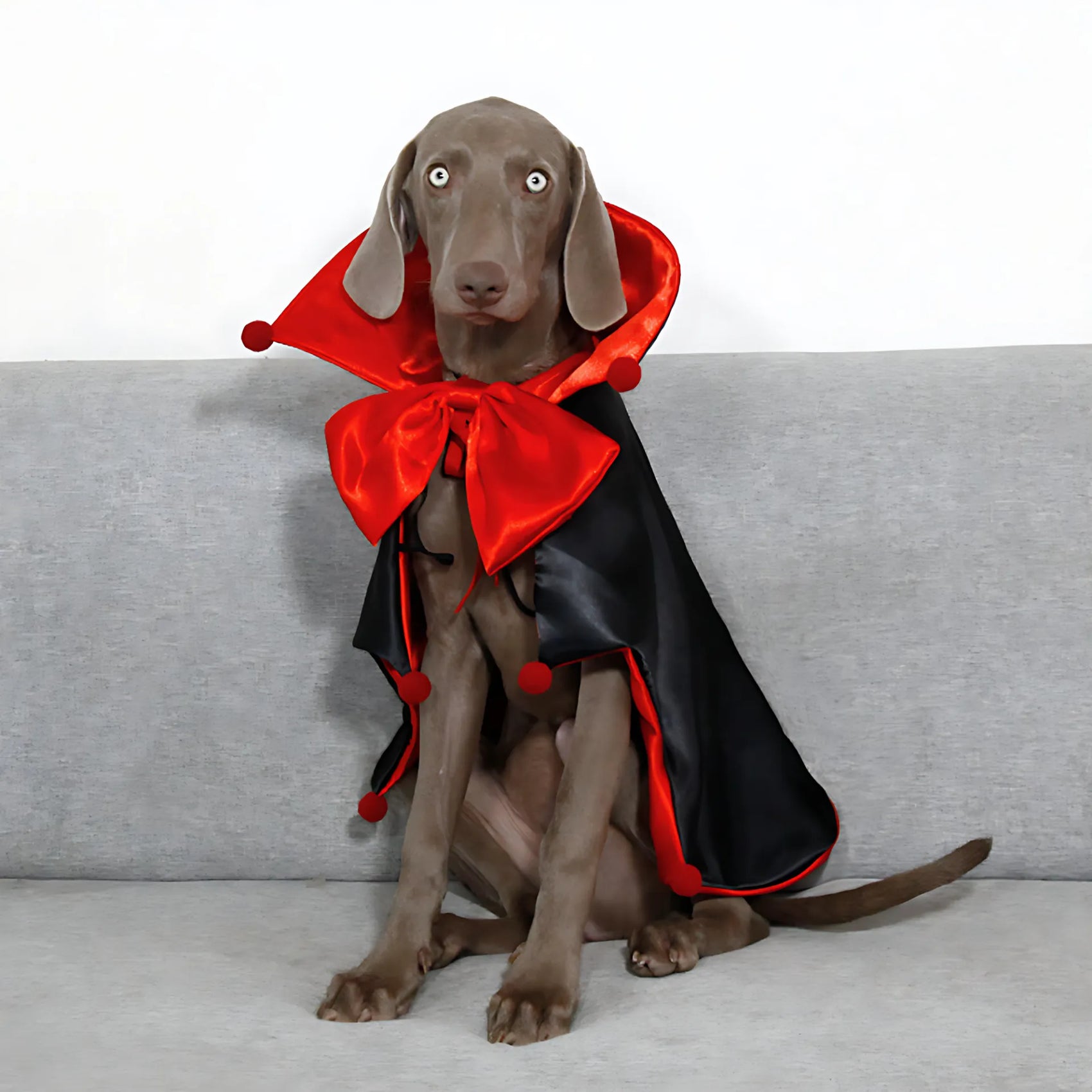 Halloween Knight Magic Cloak for Pets