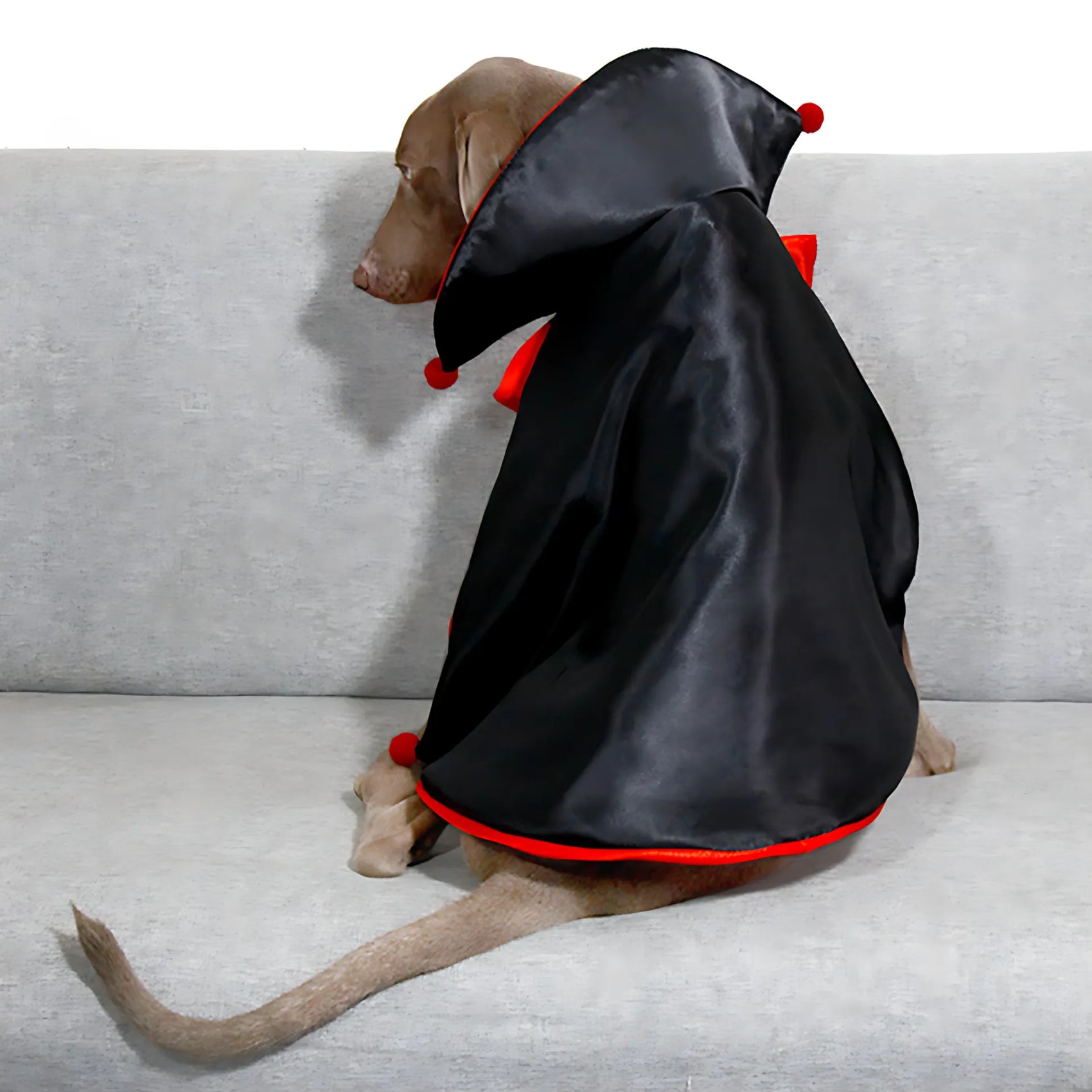 Halloween Knight Magic Cloak for Pets