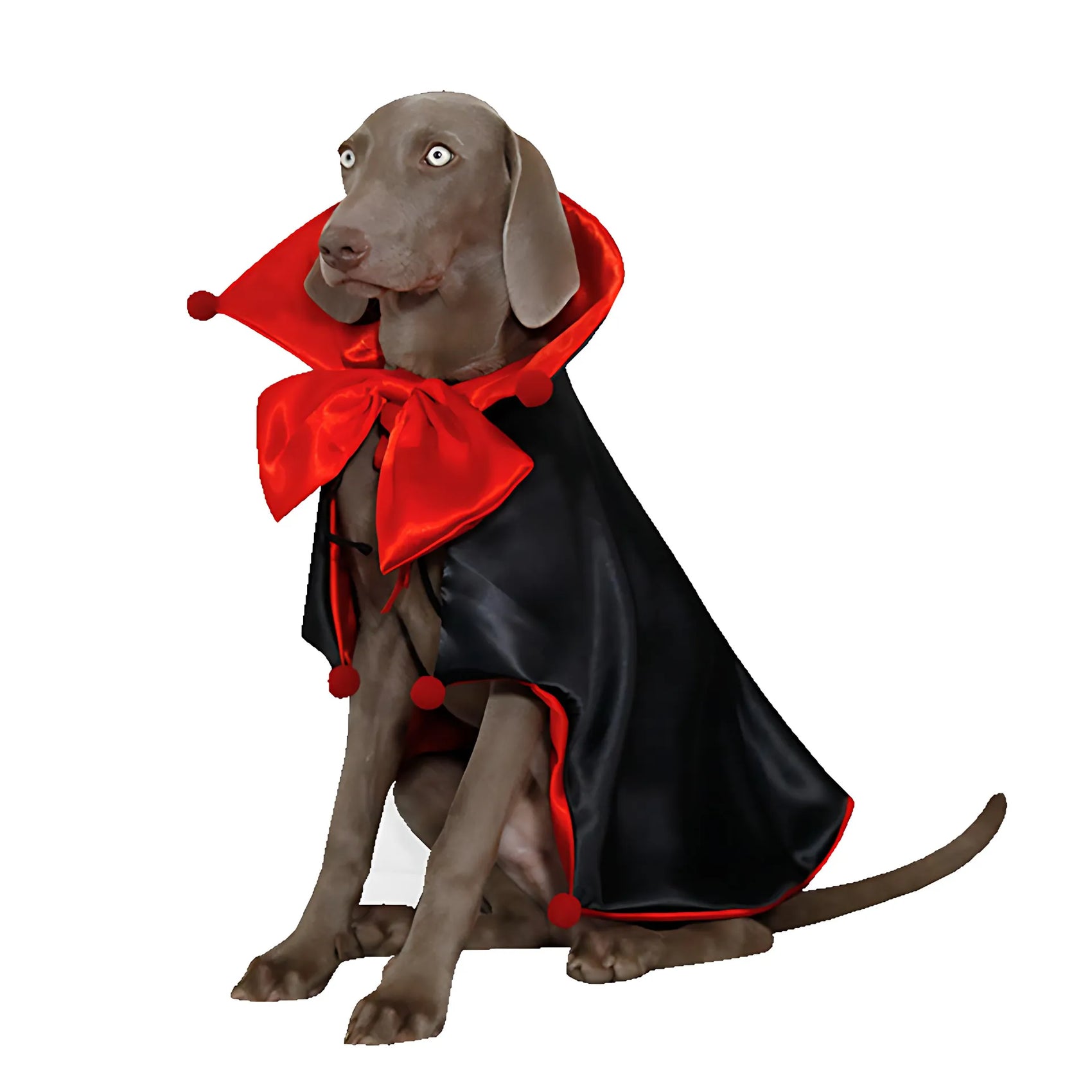 Halloween Knight Magic Cloak for Pets