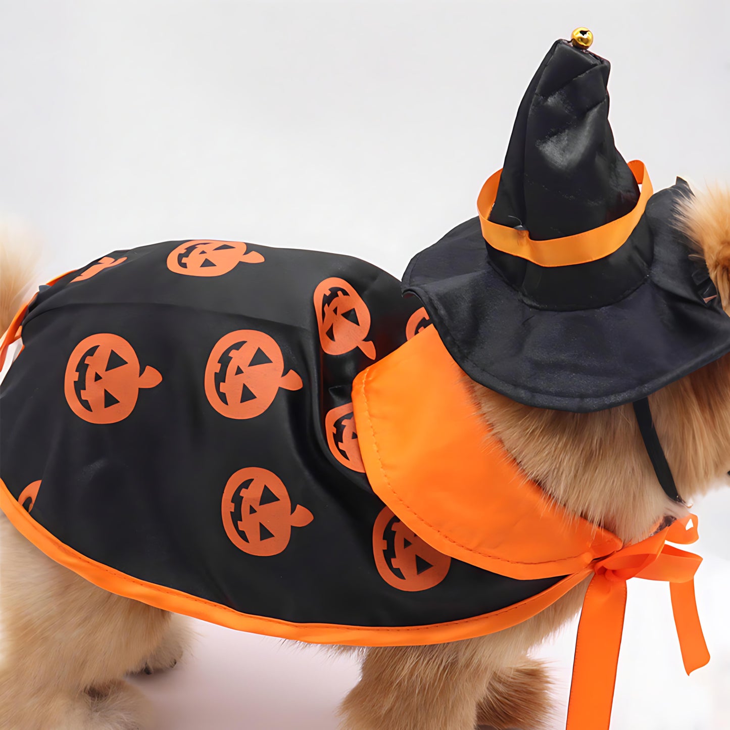Halloween Pet Cape and Hat Set
