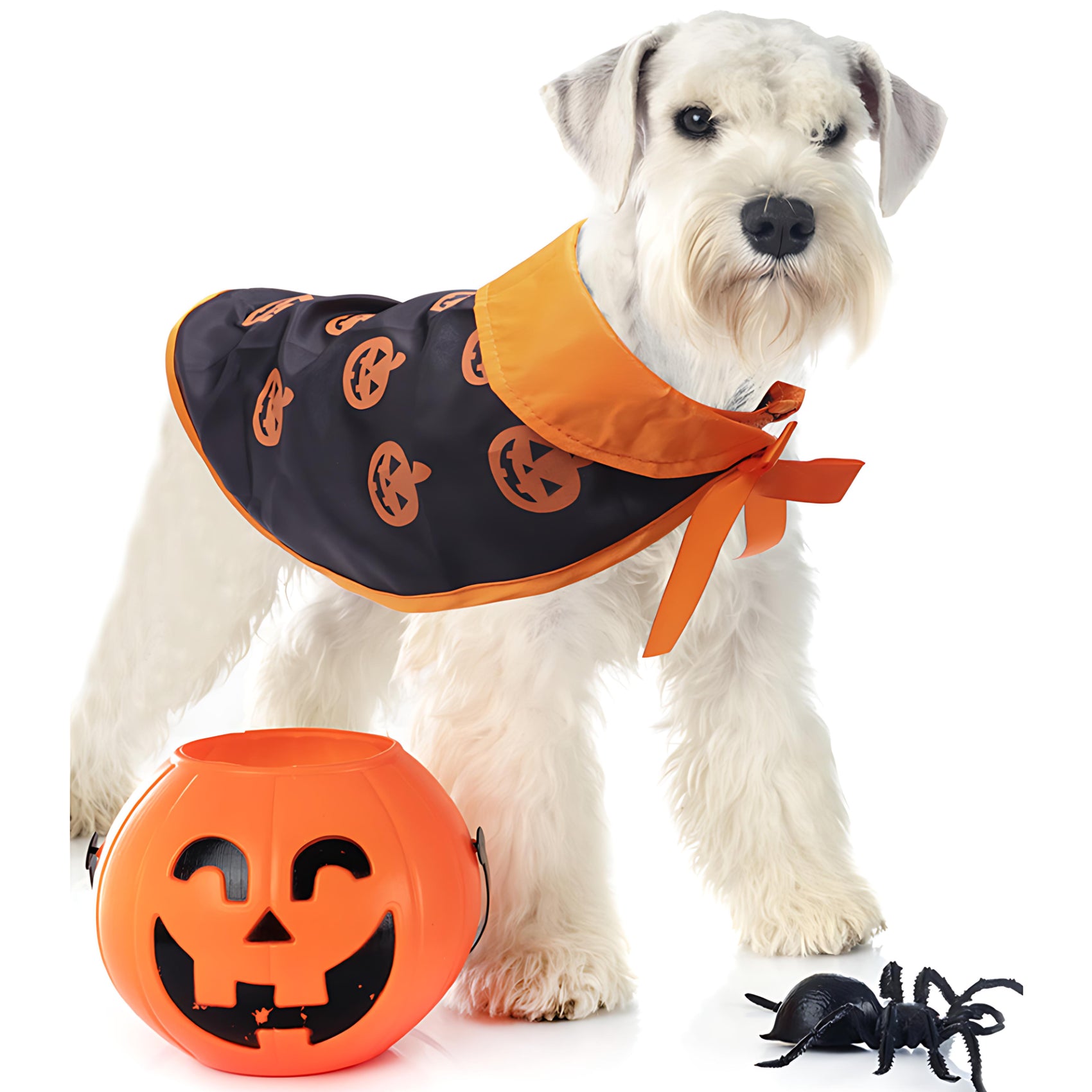 Halloween Pet Cape and Hat Set