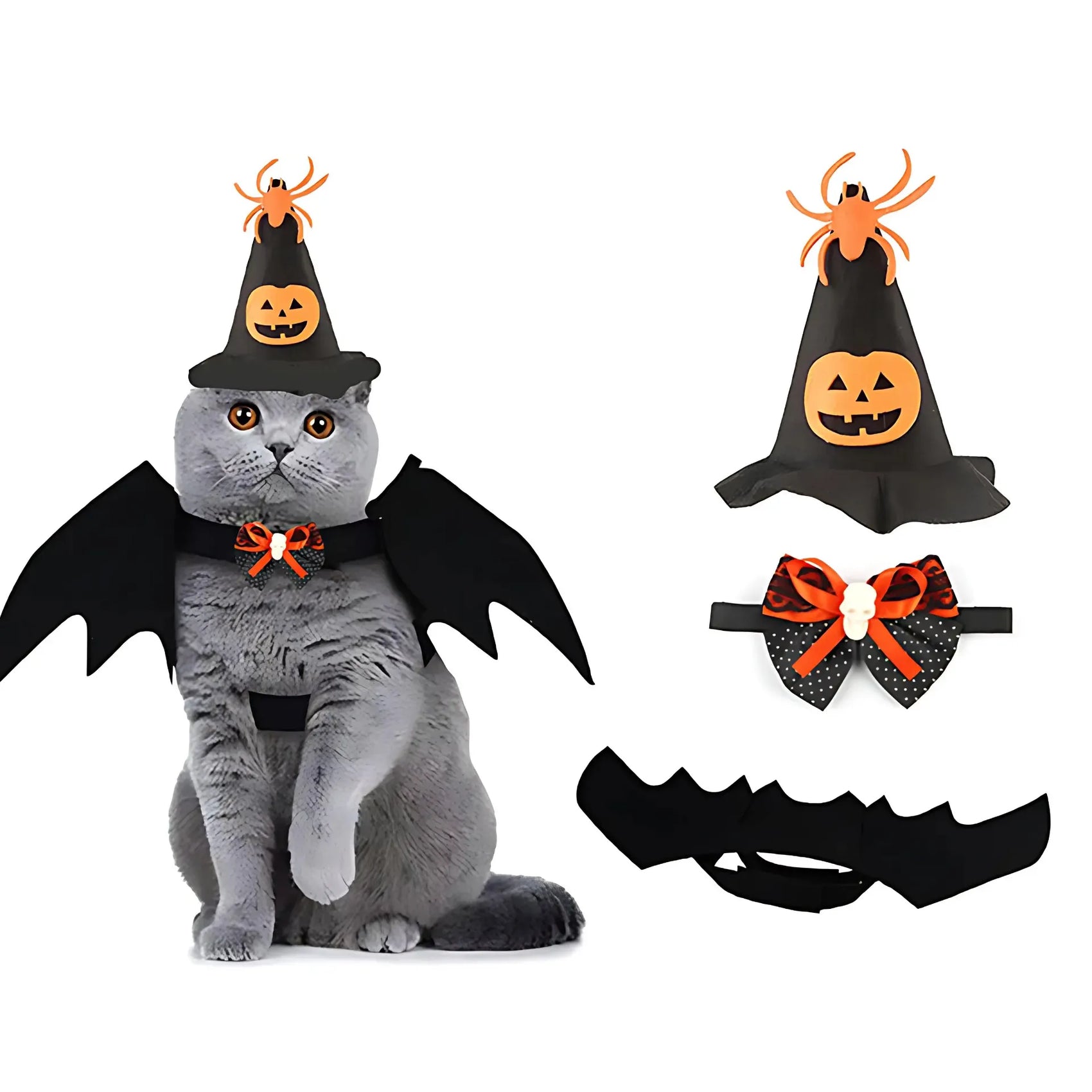 Halloween Pet Costume Set