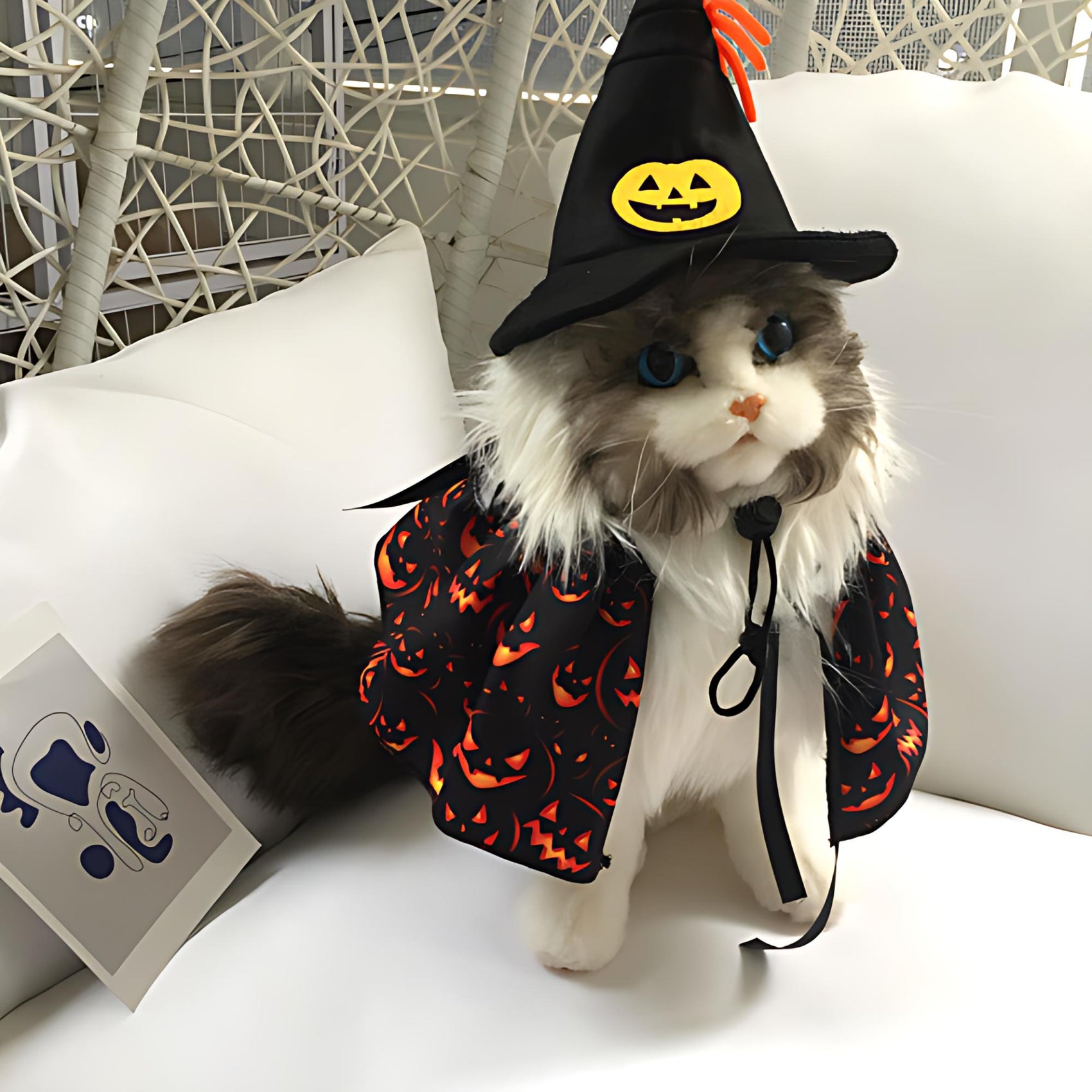 Halloween Pet Party Costume Set