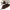 Halloween Pet Party Costume Set