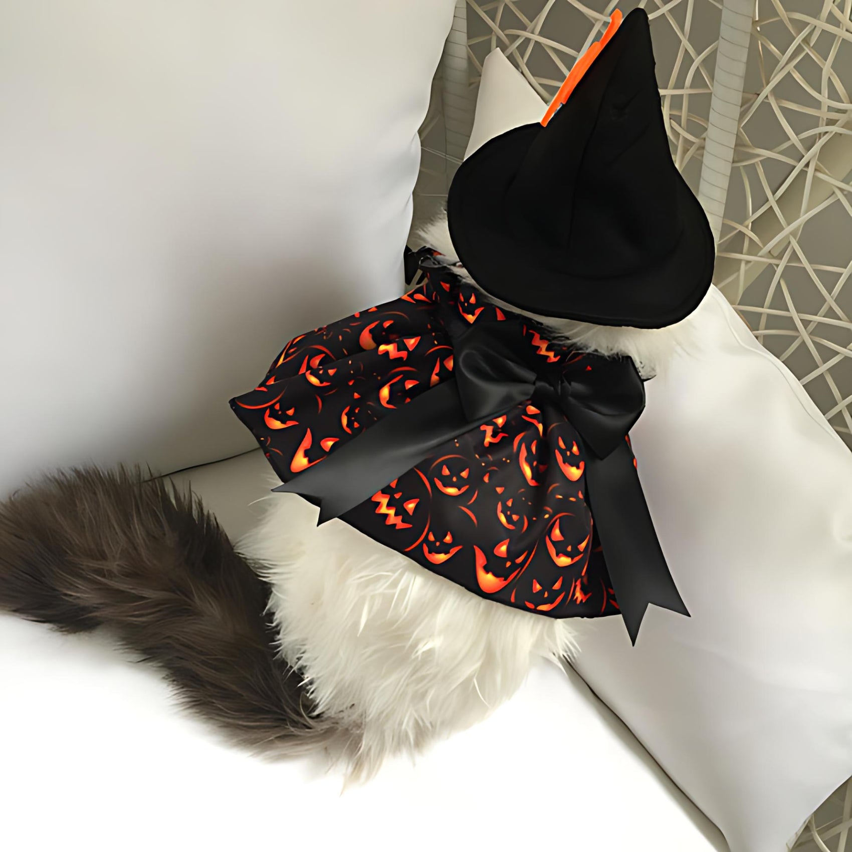 Halloween Pet Party Costume Set