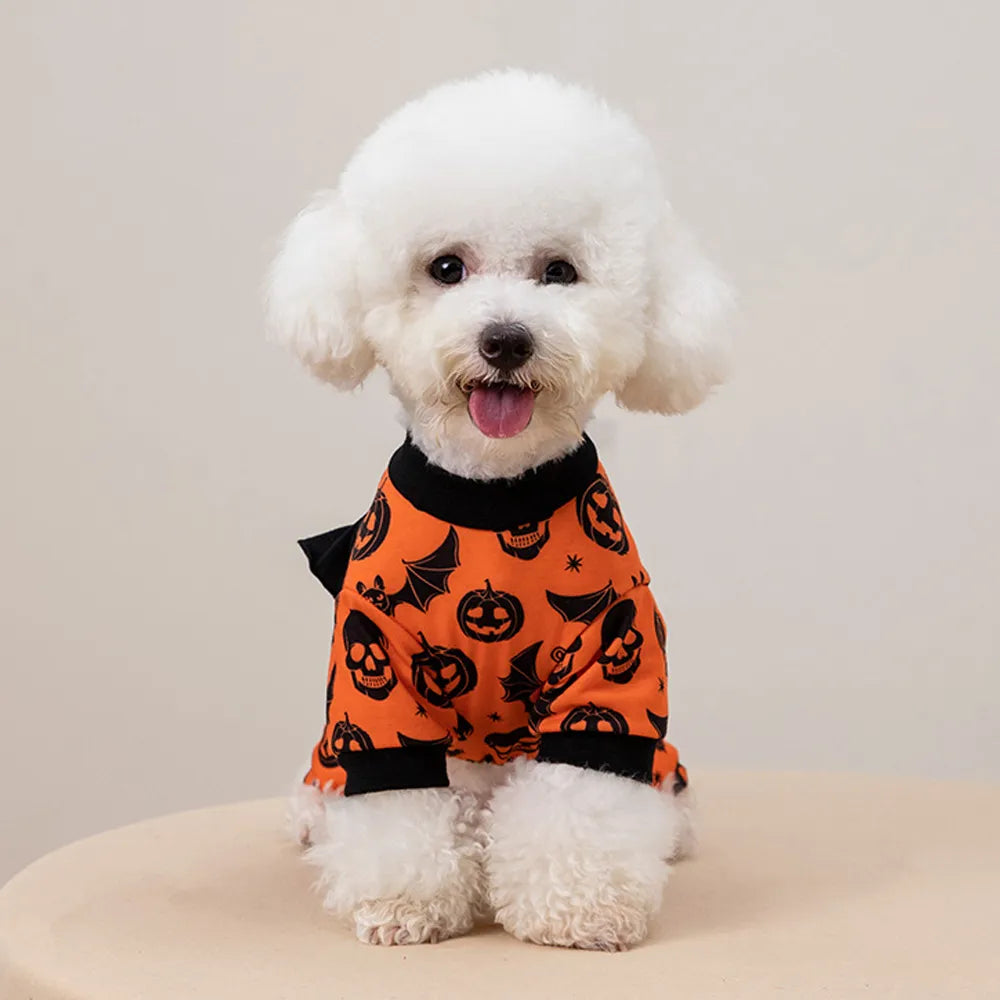 Halloween Pumpkin Dog Costume