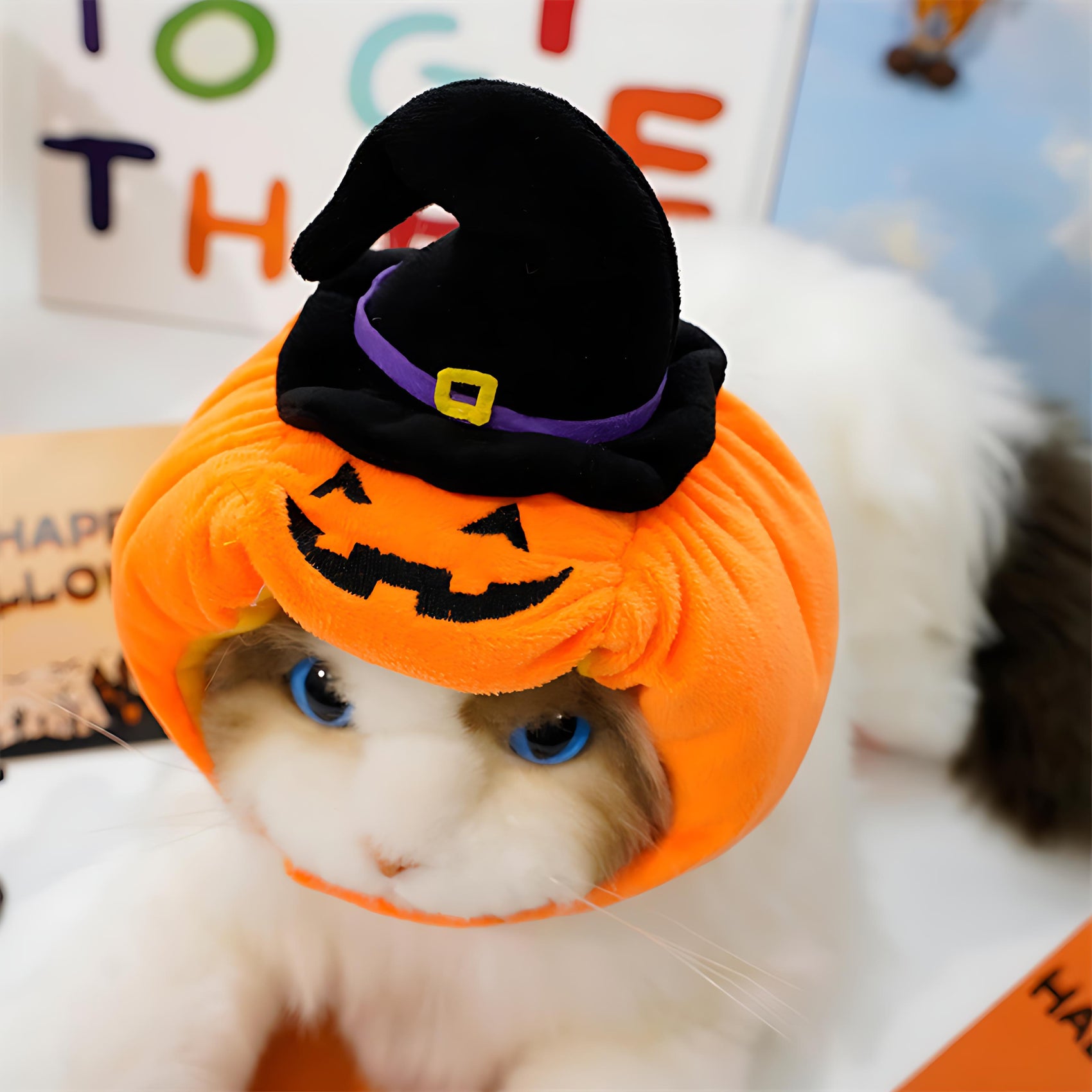 Halloween Pumpkin Hat for Dogs and Cats