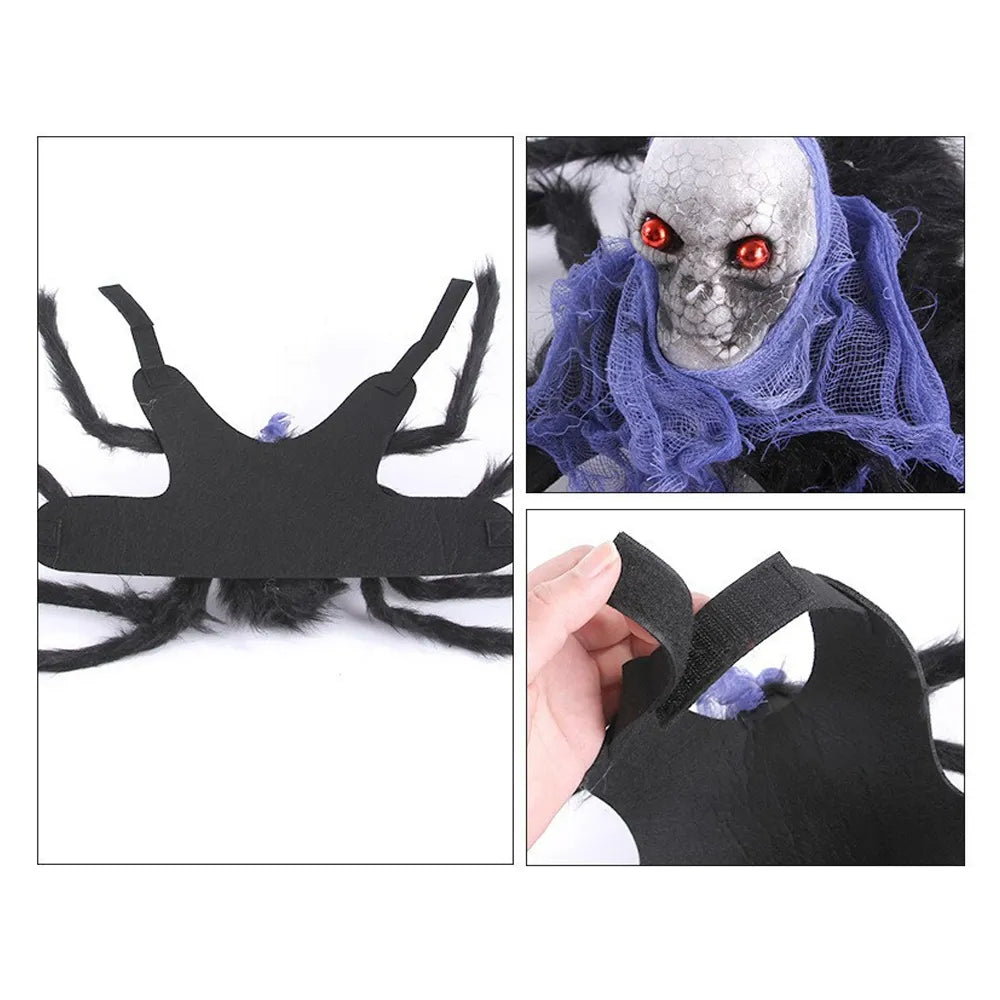Halloween Spider Harness for Pets