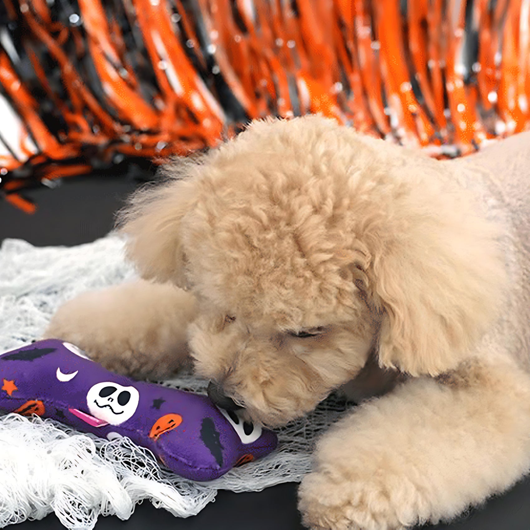 Halloween Squeaky Dog Toy