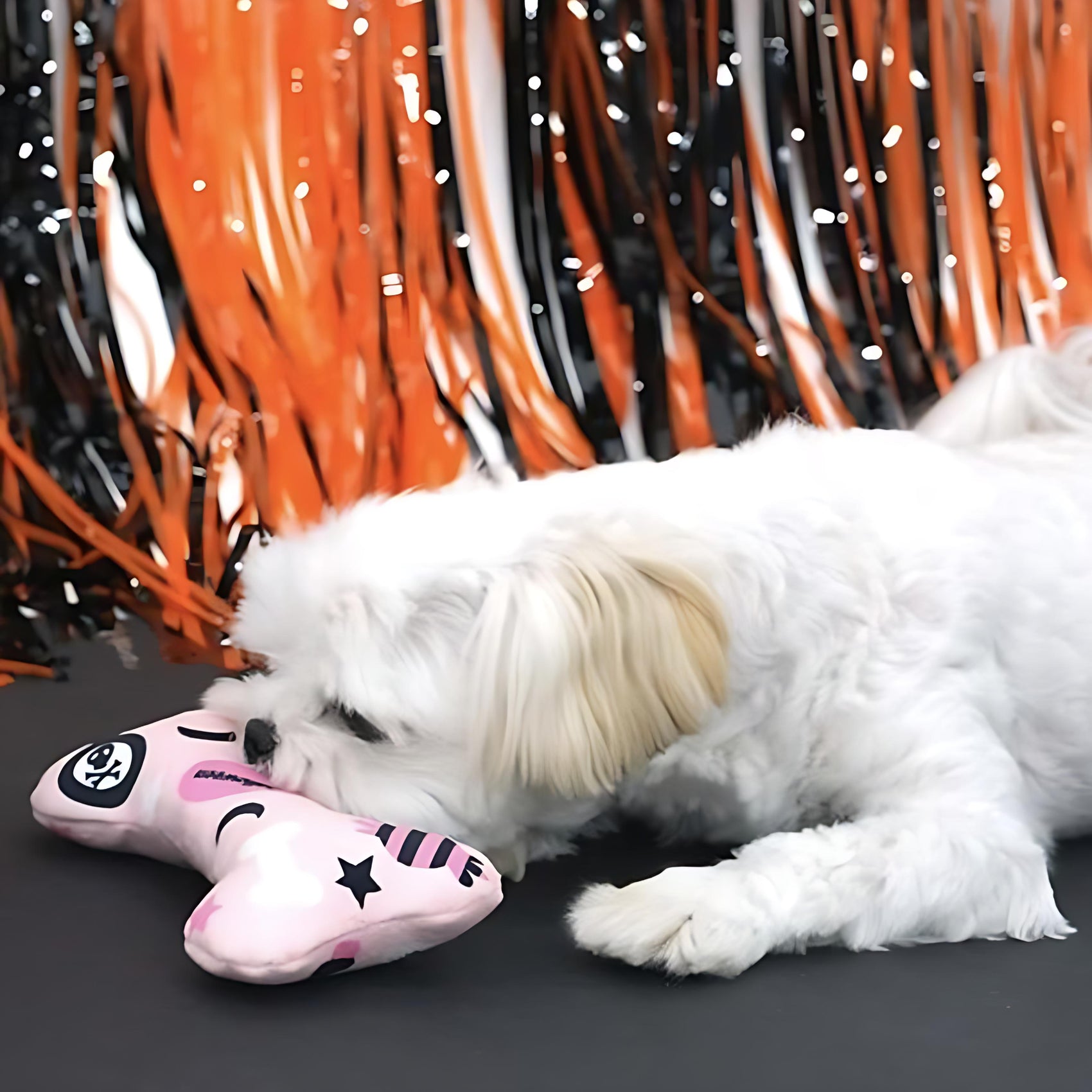 Halloween Squeaky Dog Toy