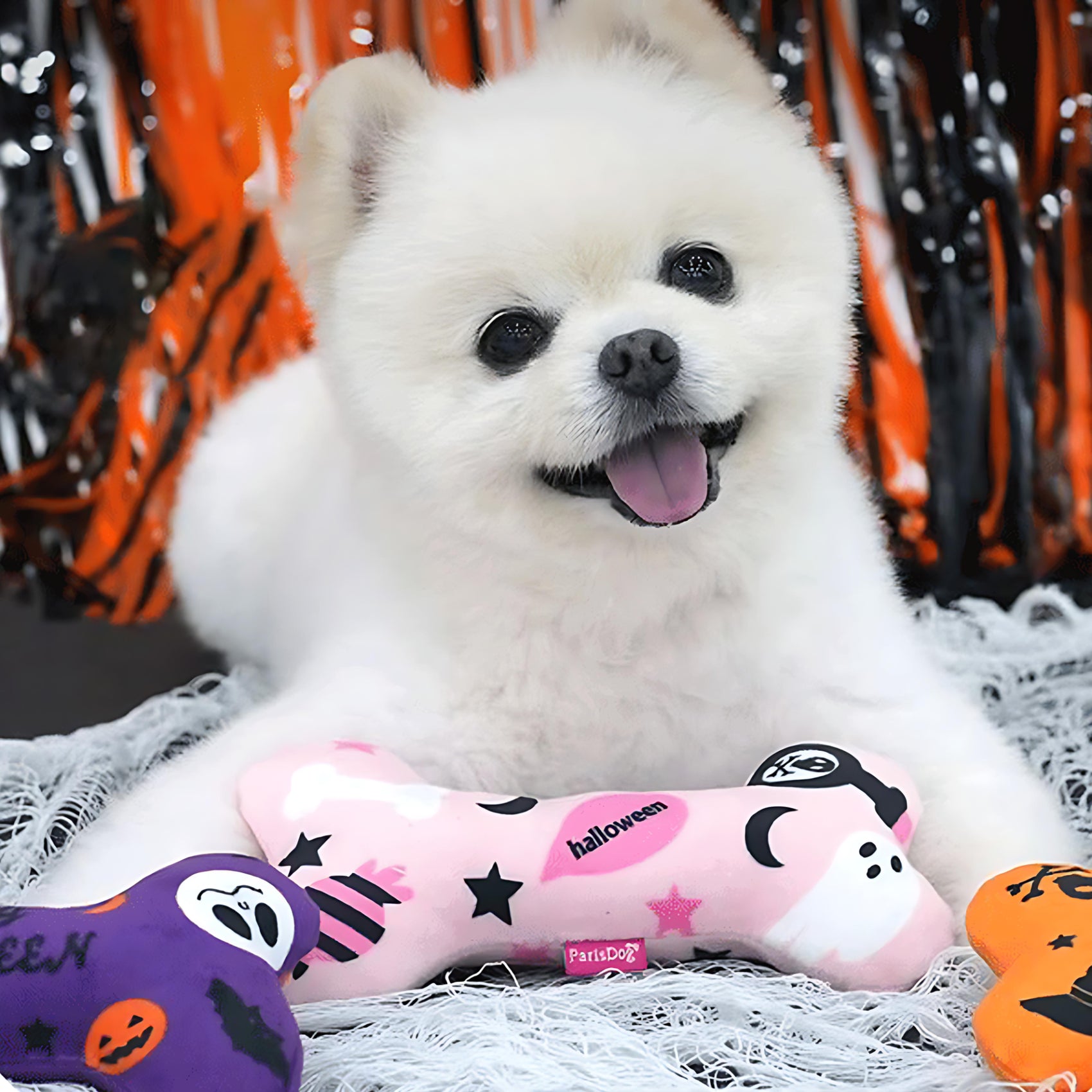 Halloween Squeaky Dog Toy