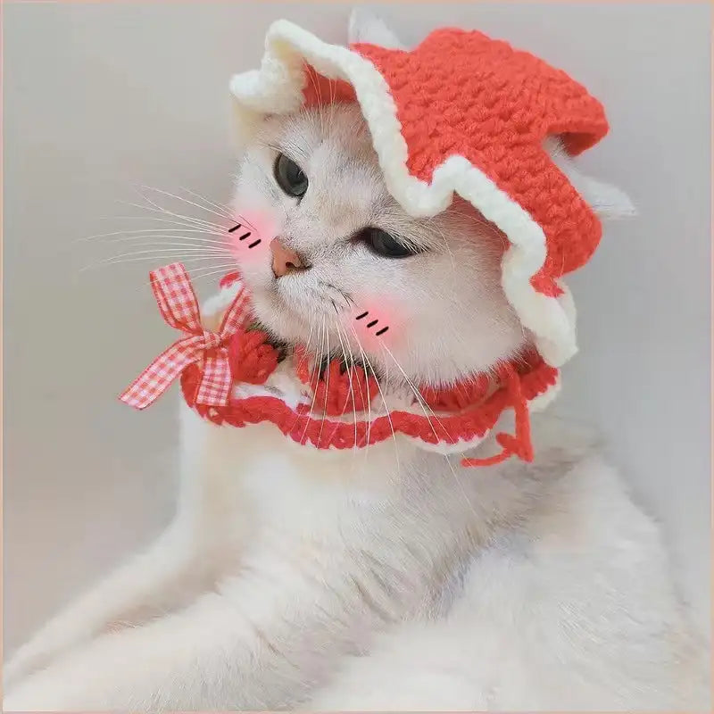Knitted Pet Hat – Cute Crochet Costume Accessory