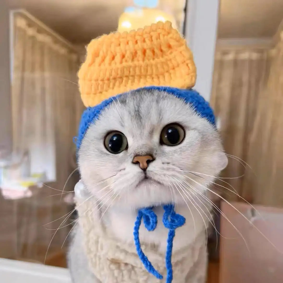 Knitted Pet Hat – Cute Crochet Costume Accessory