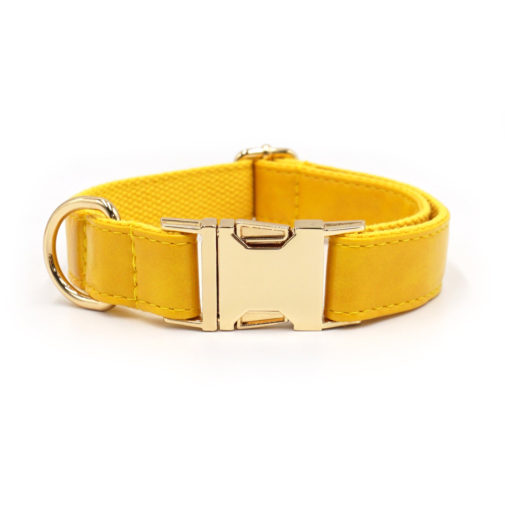 Premium Leather Dog Collar