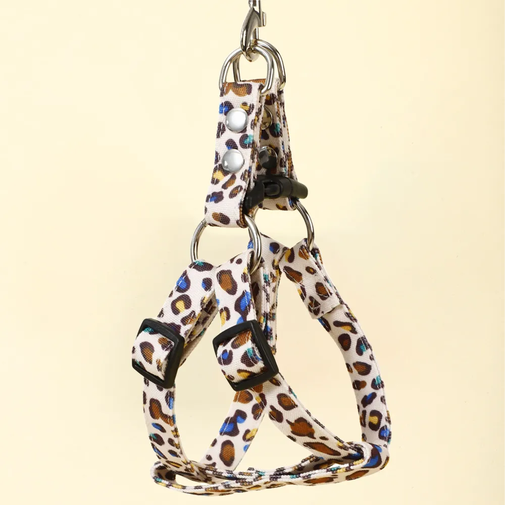 Leopard Print Dog Leash Walk Sets