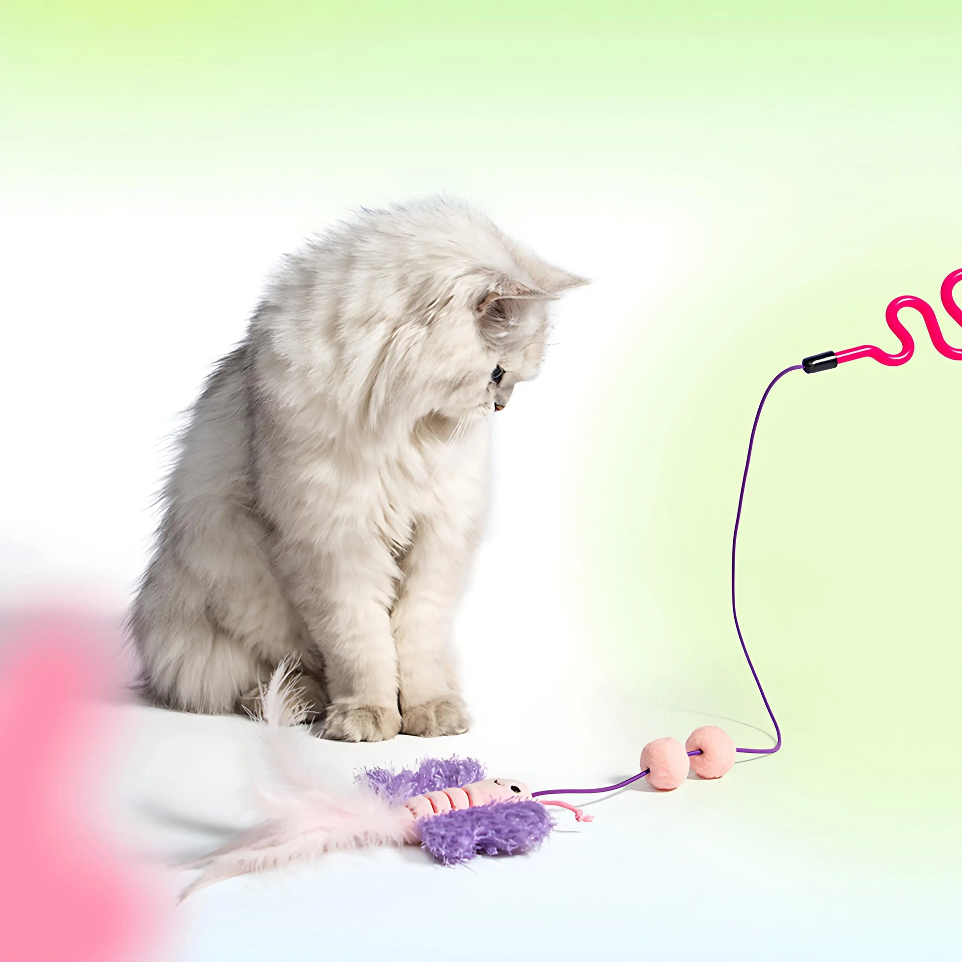 Natural Series Cat Stick Toy
