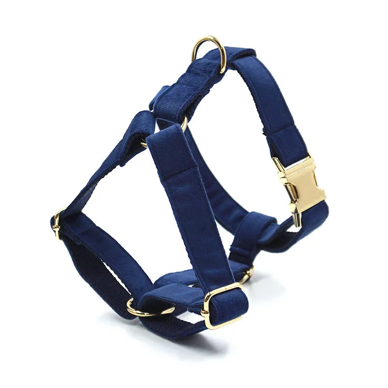 Navy Blue Velet Walk Sets