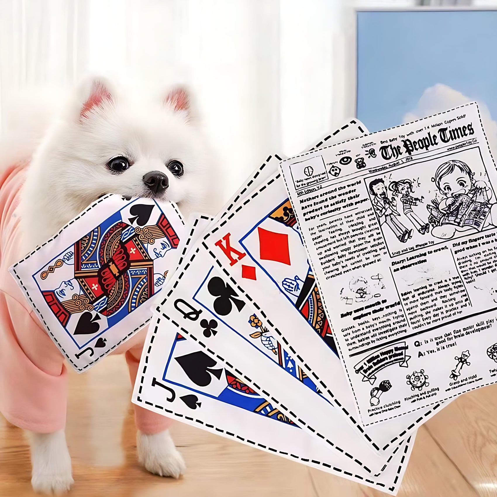 Newspaper Poker Plush Dog Toy with Squeaker