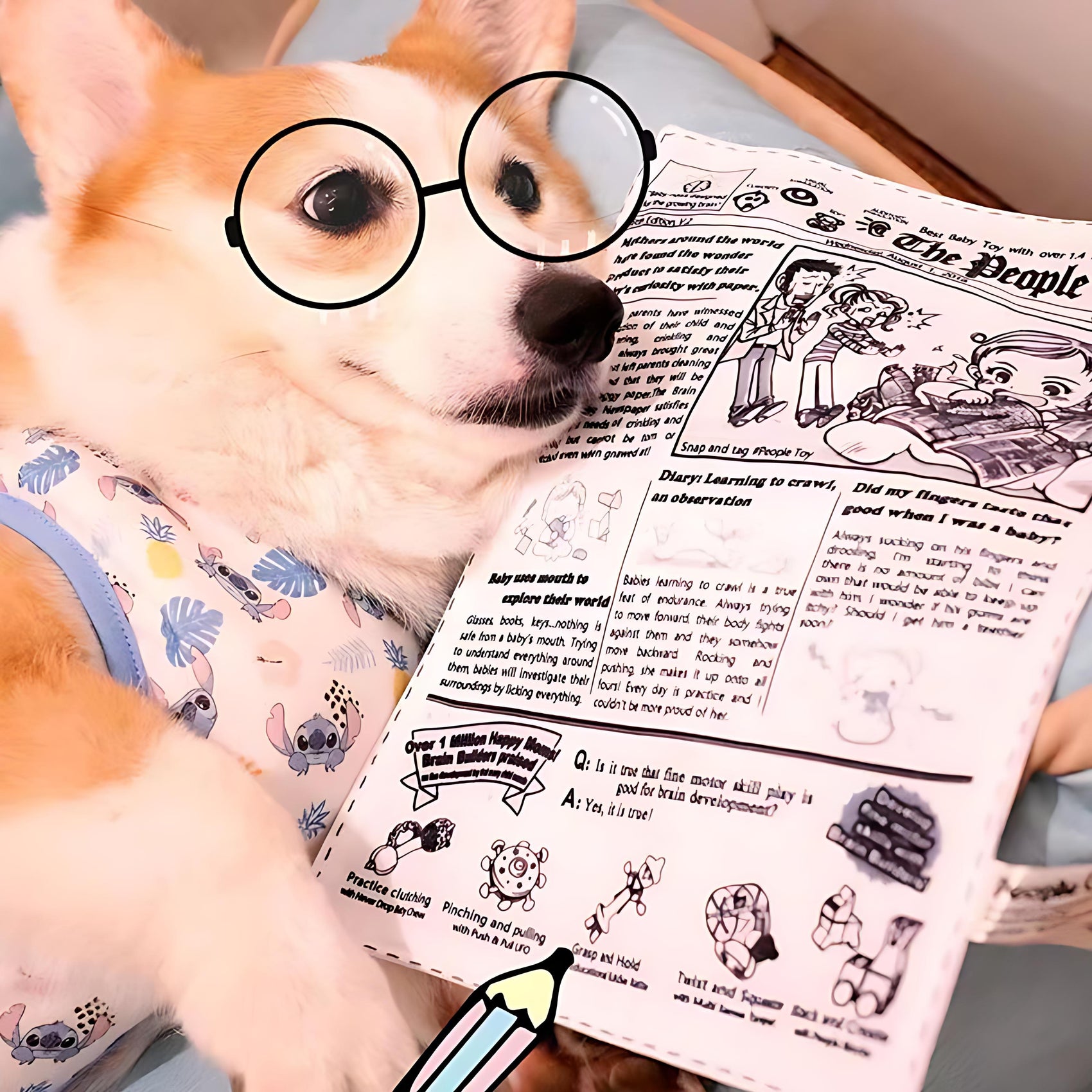 Newspaper Poker Plush Dog Toy with Squeaker