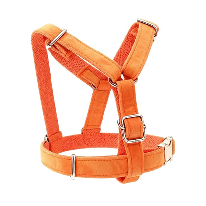 Orange Velvet Walk Sets