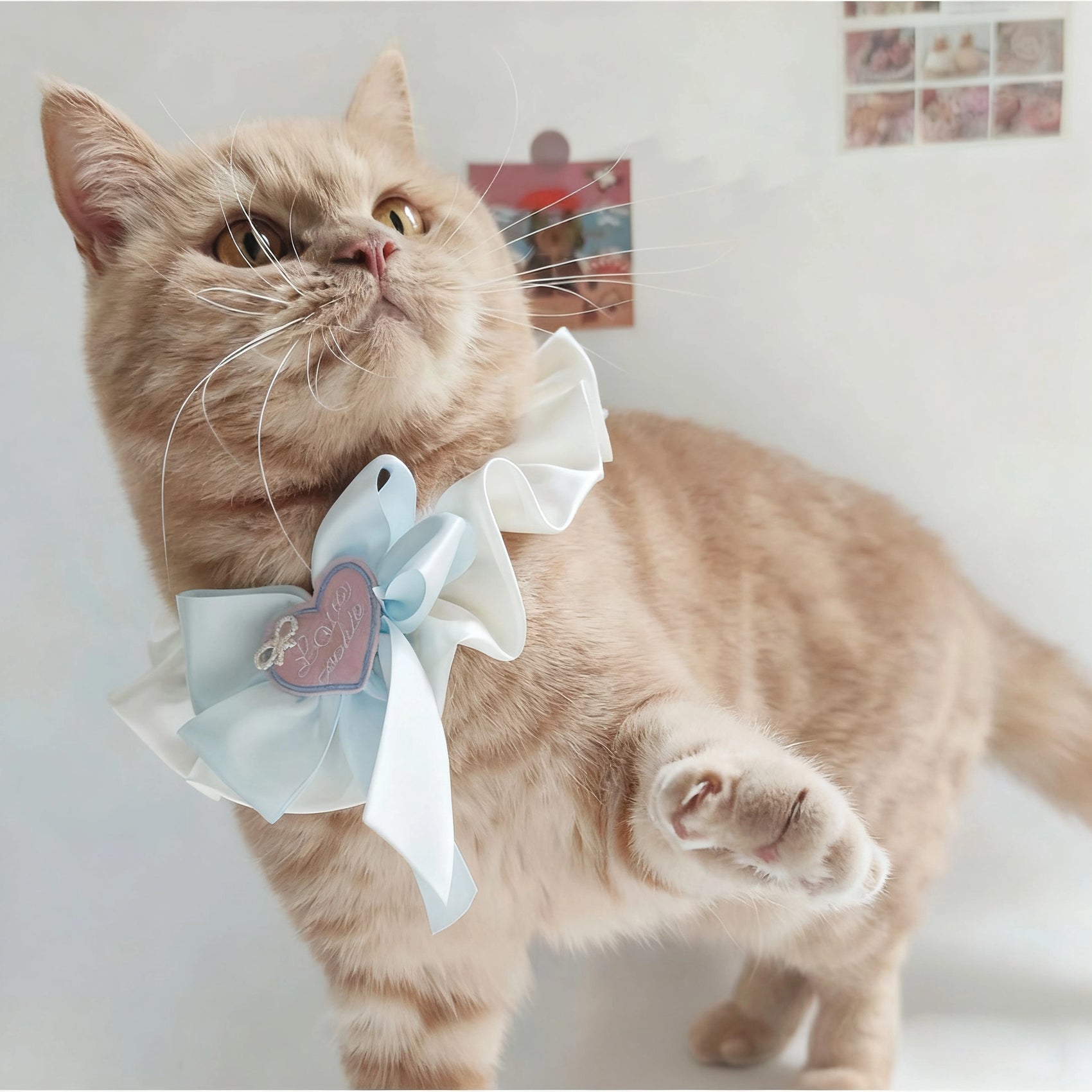 Elegant Pearl Bow Pet Bib